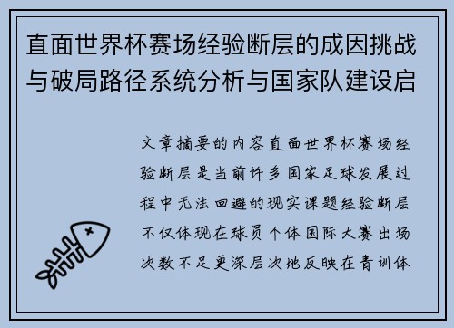 直面世界杯赛场经验断层的成因挑战与破局路径系统分析与国家队建设启示